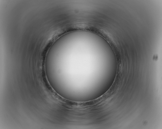 X0000091940739200709051302
