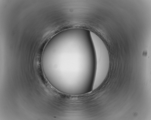 X0000091940740200709051302
