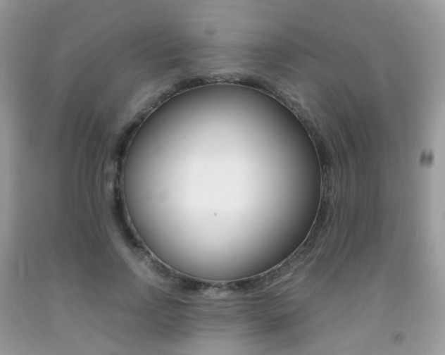 X0000091940742200709051302