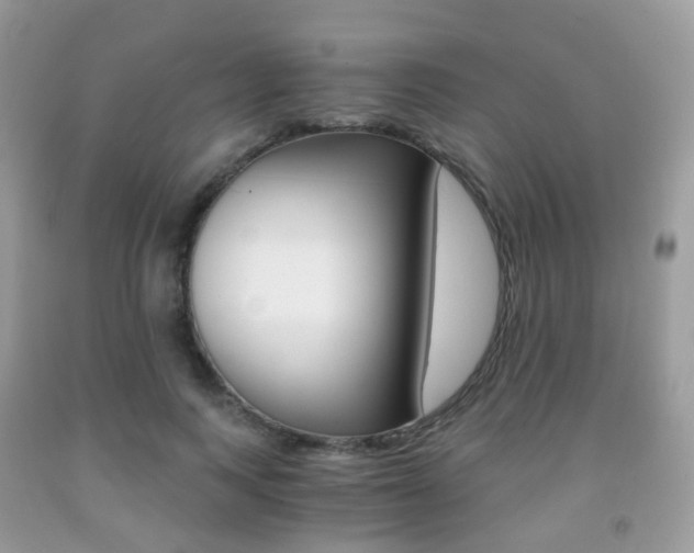 X0000091940743200709051302