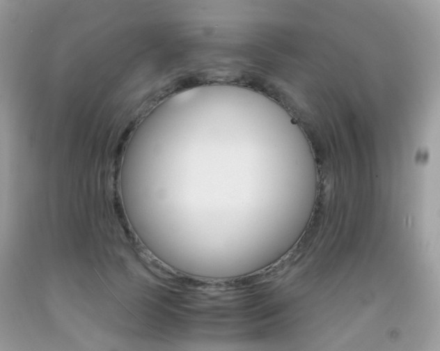 X0000091940745200709051302