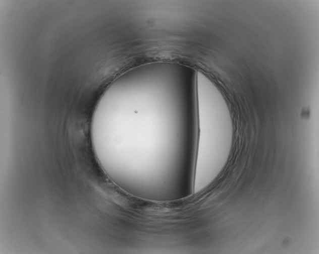 X0000091940747200709051302