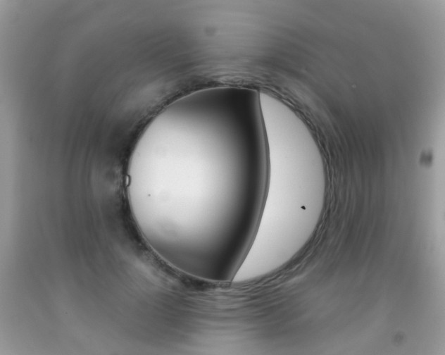 X0000091940748200709051302