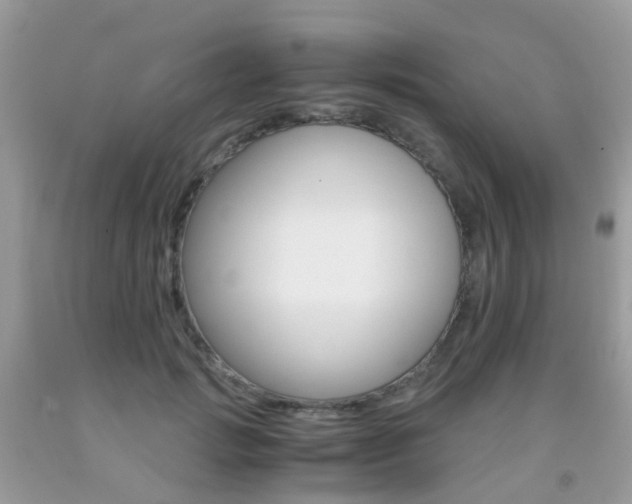 X0000091940749200709051302