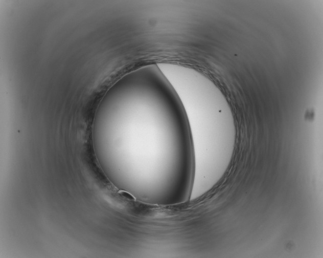 X0000091940750200709051302