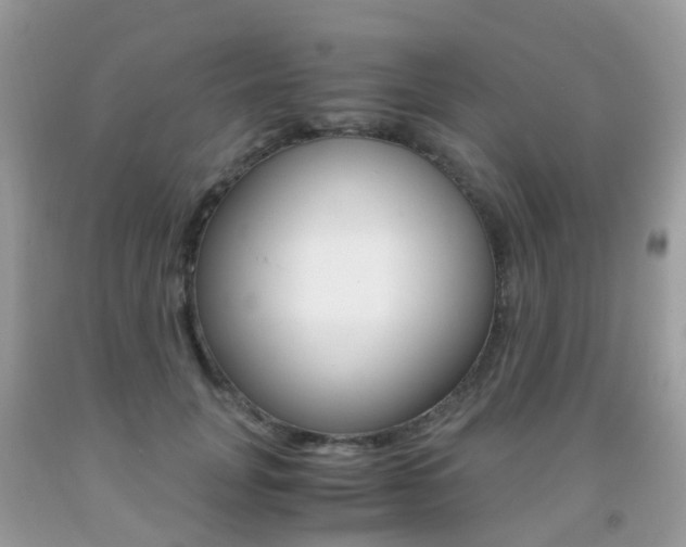X0000091940751200709051302