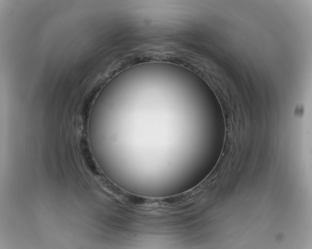 X0000091940752200709051302