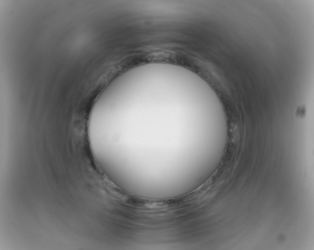 X0000091940753200709051302