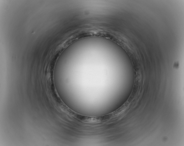 X0000091940754200709051302