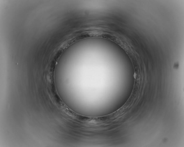 X0000091940755200709051302