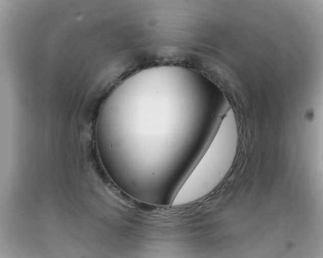 X0000091940756200709051302