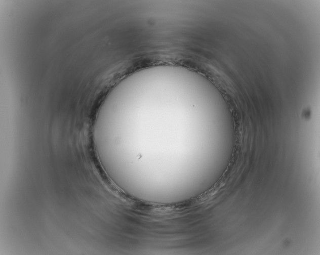 X0000091940757200709051302