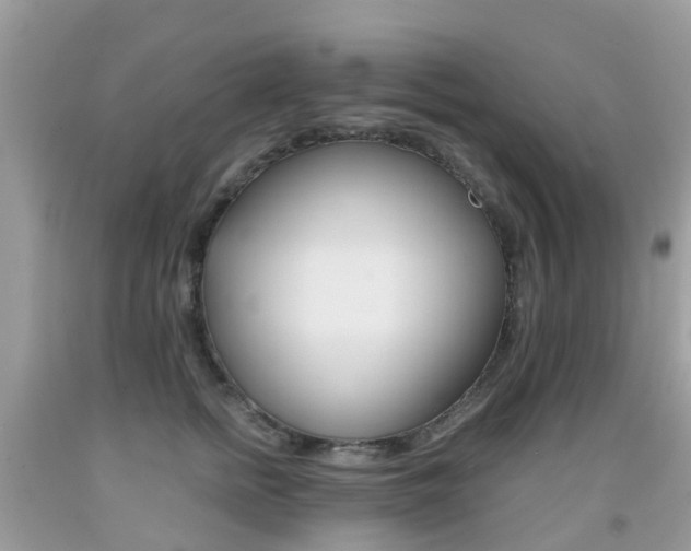 X0000091940758200709051302