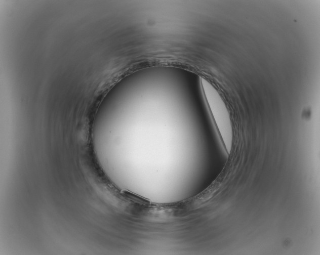 X0000091940760200709051302