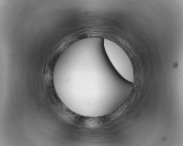 X0000091940761200709051302