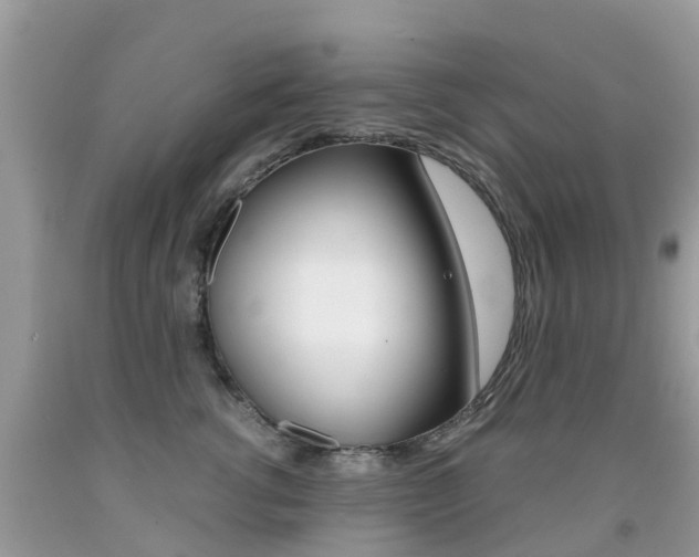 X0000091940762200709051302