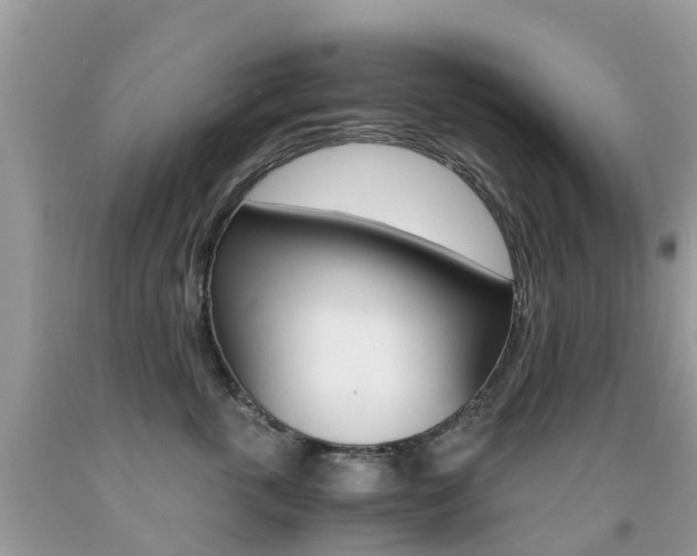 X0000091940763200709051302