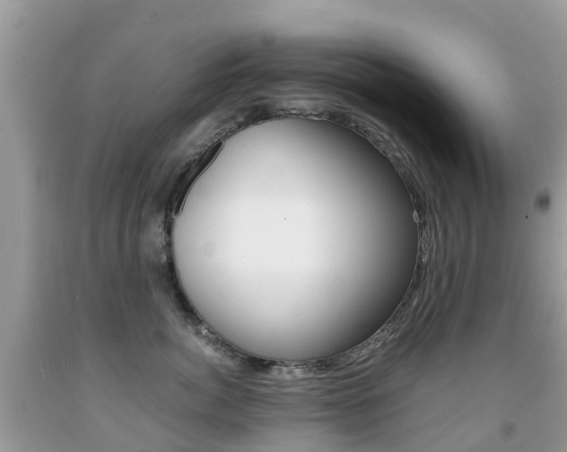 X0000091940764200709051302