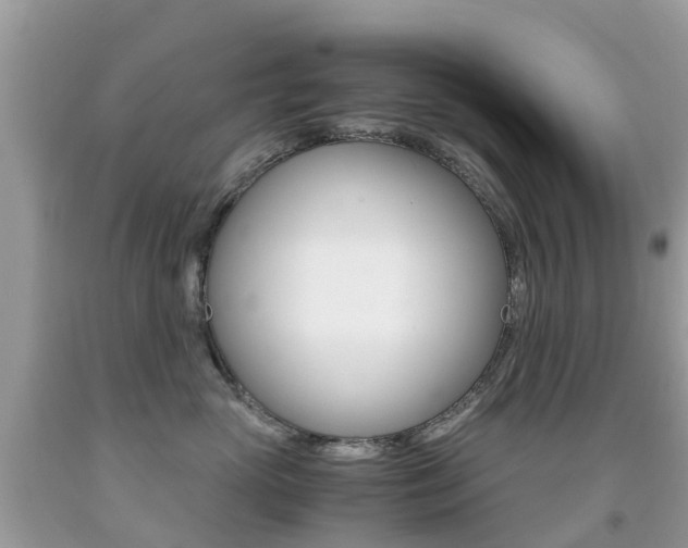 X0000091940765200709051302