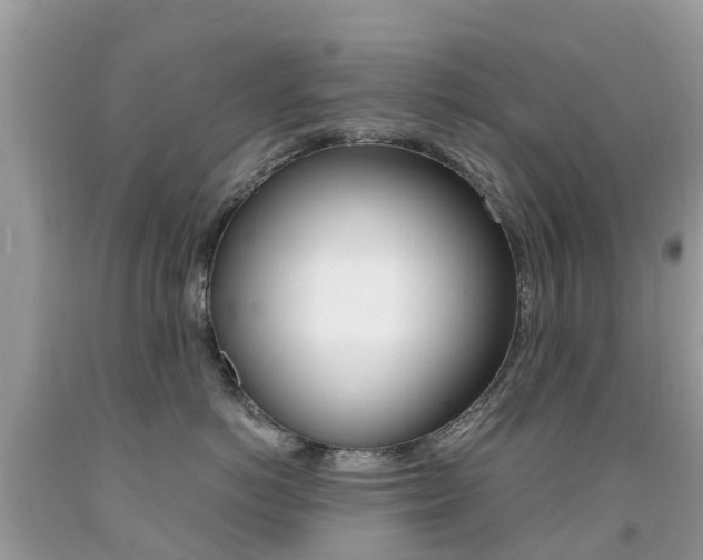 X0000091940766200709051303