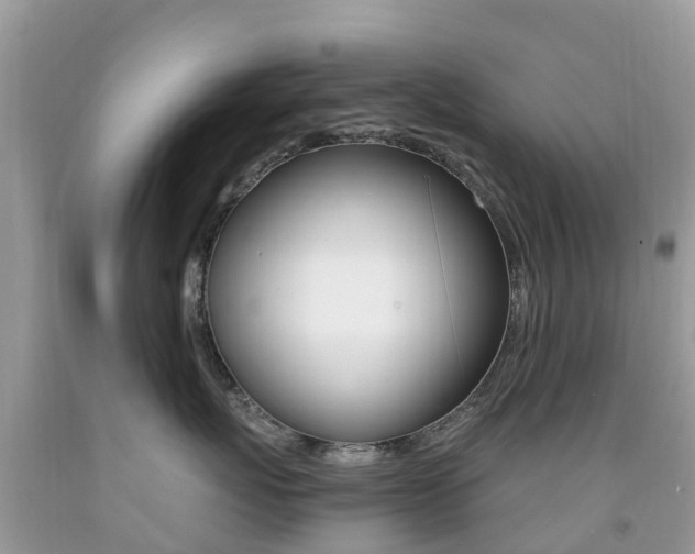 X0000091940767200709051303