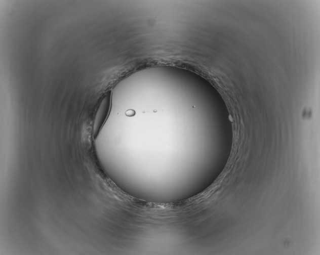 X0000091940768200709051303
