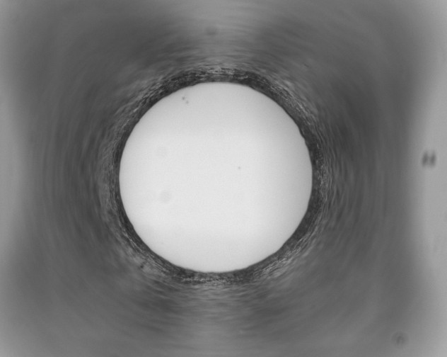 X0000091940769200709051302