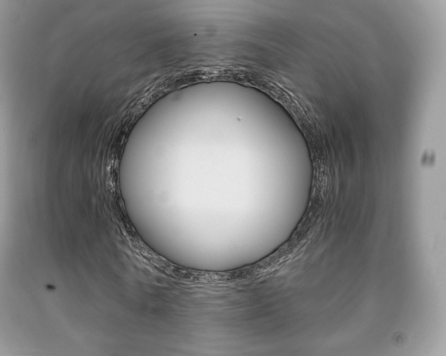 X0000091940770200709051302