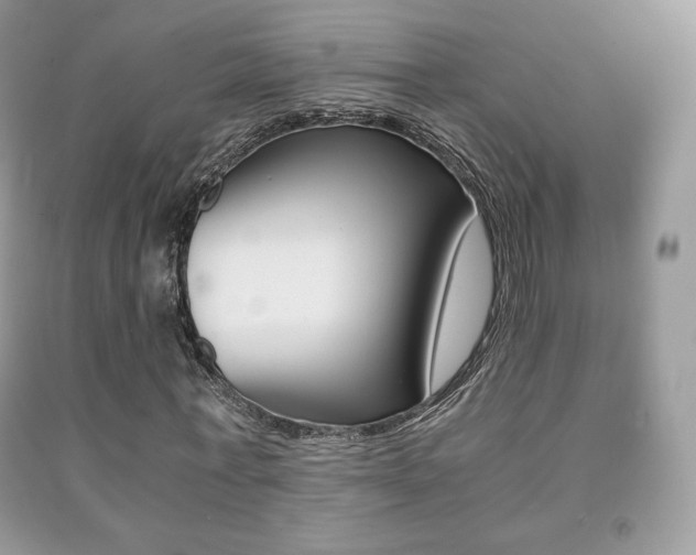 X0000091940771200709051302