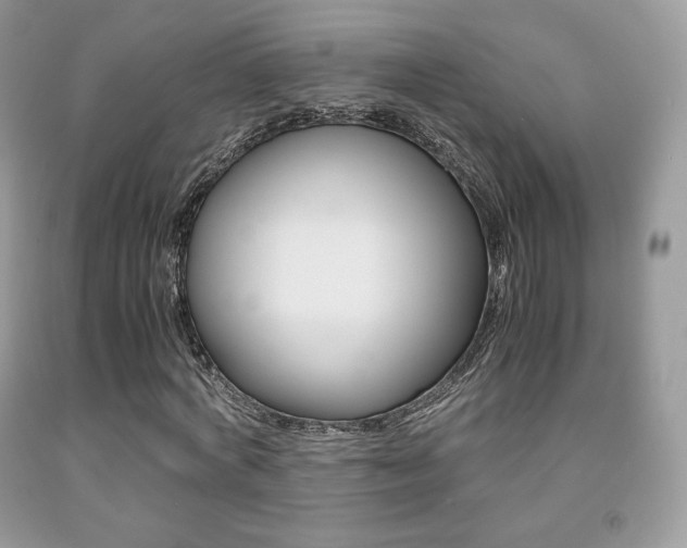X0000091940772200709051302