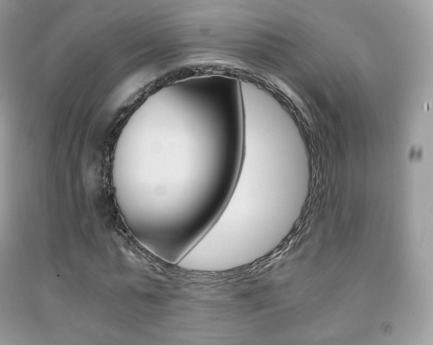 X0000091940775200709051302