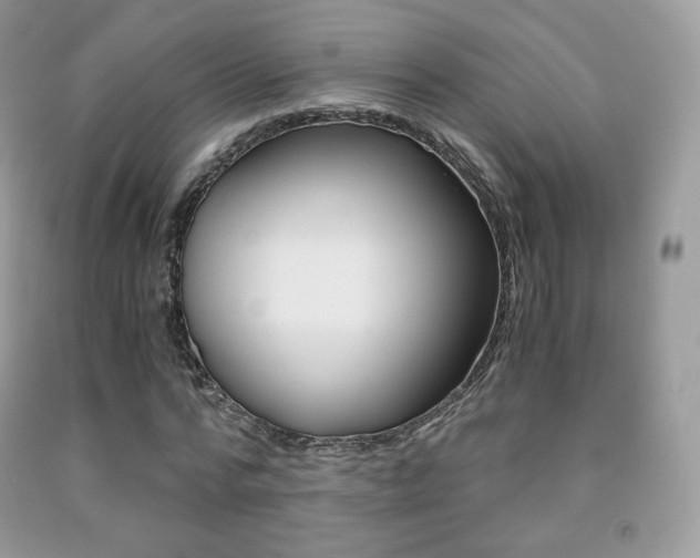 X0000091940776200709051302