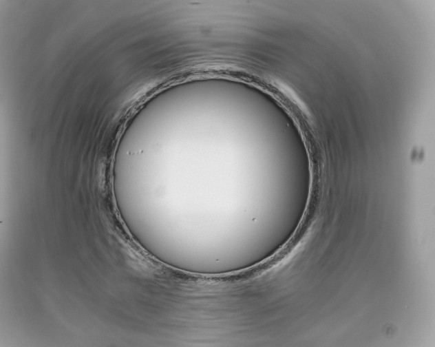 X0000091940777200709051302
