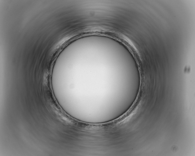 X0000091940778200709051302