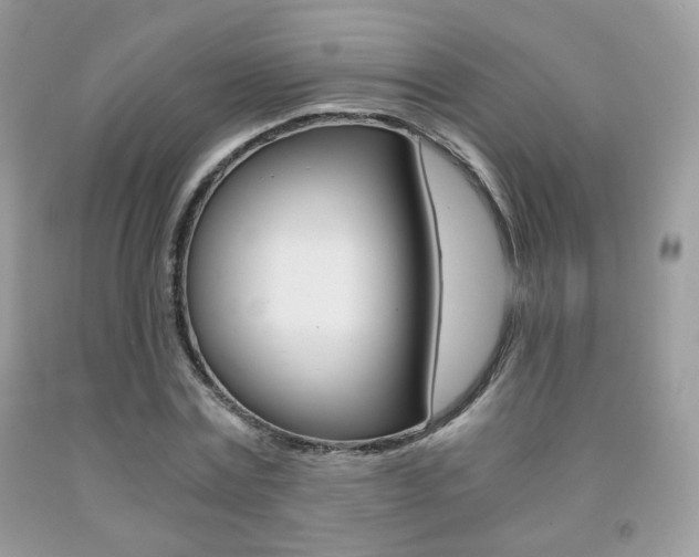 X0000091940779200709051302