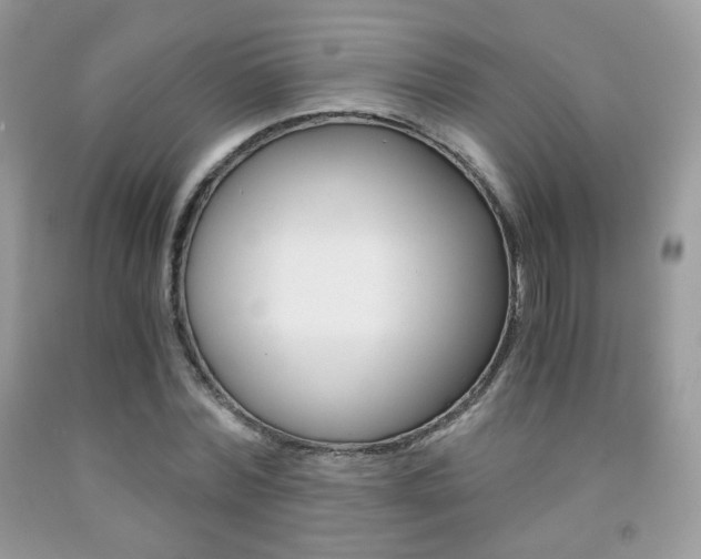 X0000091940780200709051302