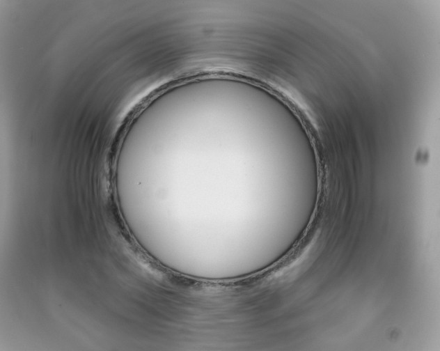 X0000091940782200709051302
