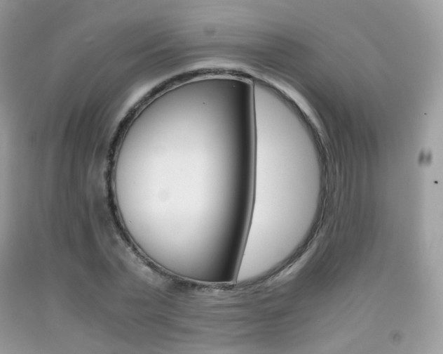 X0000091940783200709051302