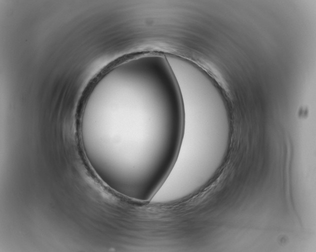 X0000091940784200709051302