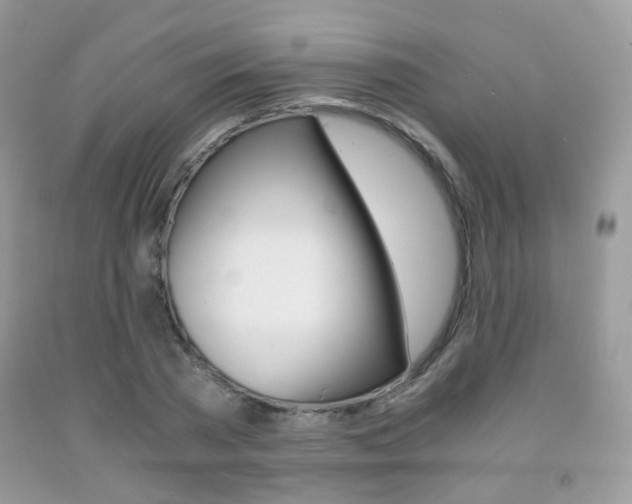X0000091940785200709051302