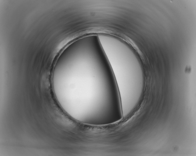 X0000091940786200709051302