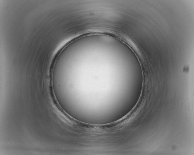 X0000091940787200709051302