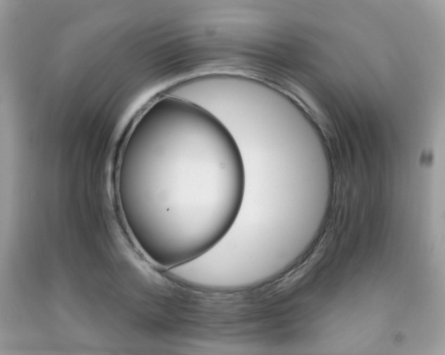 X0000091940788200709051302