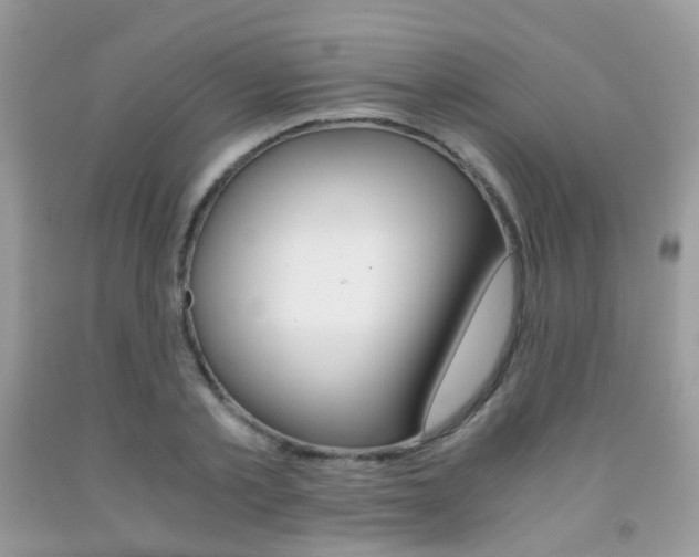 X0000091940789200709051302