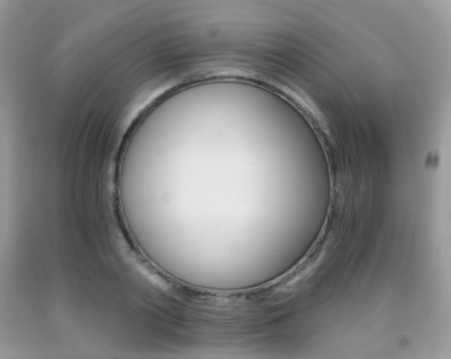 X0000091940790200709051301