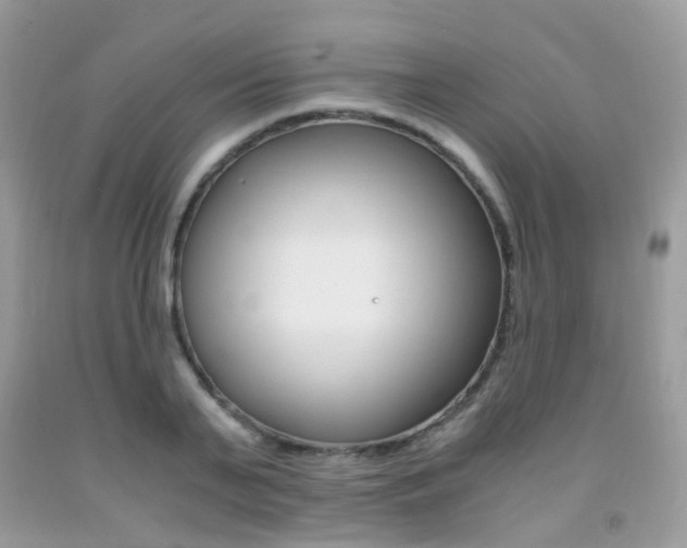 X0000091940791200709051301