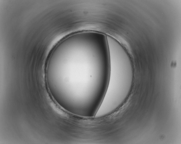 X0000091940792200709051301