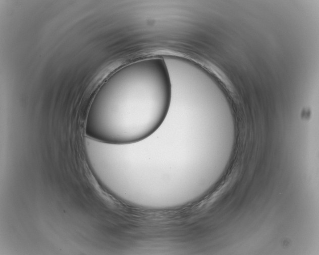 X0000091940793200709051301