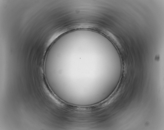 X0000091940794200709051301