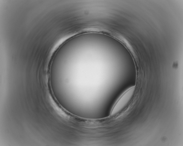 X0000091940795200709051301